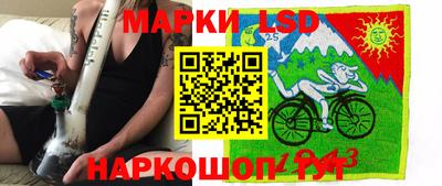 spice Новодвинск