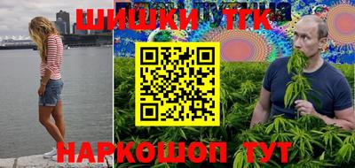 spice Новодвинск