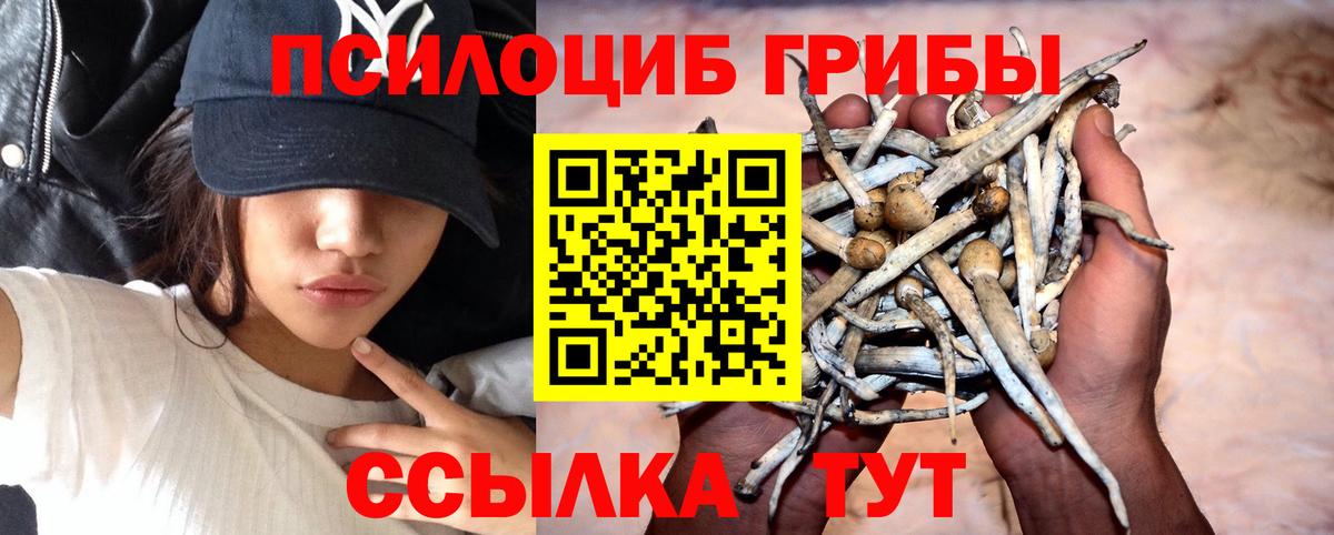 Галлюциногенные грибы мухоморы Тельмана
